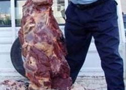 Mersin'de 187 kilo kaçak et ele geçirildi