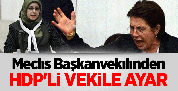 Meclis Başkanvekilinden HDP'li vekile ayar