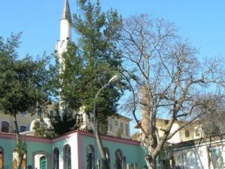 Vatandaşlar defalarca uyardı! Türbeye gelip FETÖ'yü övünce..
