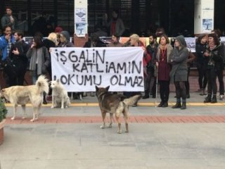 Boğaziçili terör yandaşlarına baskın