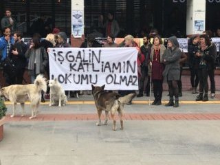 Boğaziçi'ndeki terör yandaşlarına CHP sahip çıktı