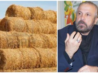 "Her konuda bu saman neden önüme geliyor anlamış değilim"
