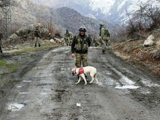 Münbiç mi Sincar mı Kandil mi?
