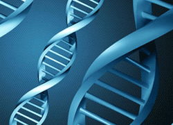 8 Bin Türk DNA'sı Rumlarda