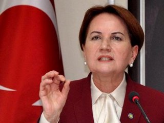 Meral Akşener'den Devlet Bahçeli'yi kızdıracak paylaşım!