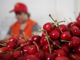 Türkiye harekete geçti! Hedef ABD'nin payını kapmak