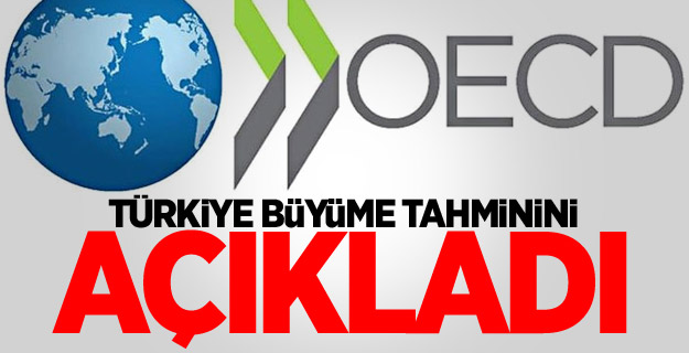 OECD, Türkiye büyüme tahminini açıkladı