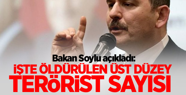 Soylu: Öldürülen üst düzey terörist sayısı 30