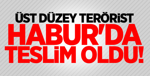 Üst düzey terörist Habur'da teslim oldu!