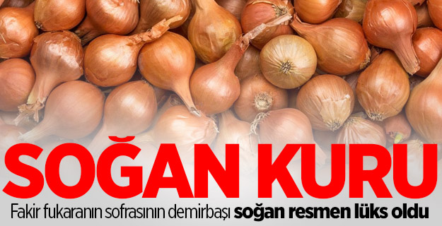 Soğana güç yetmiyor!