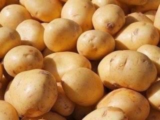 Tarih verdiler! Patates-soğan 1 TL’ye inecek