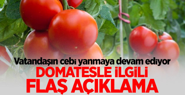 Domates ile ilgili flaş açıklama! Tarih verildi