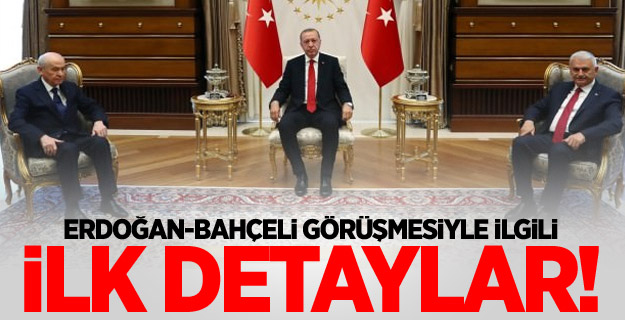 Erdoğan-Bahçeli görüşmesiyle ilgili ilk detaylar!