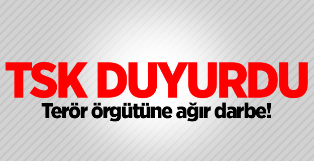 TSK duyurdu... Terör örgütüne ağır darbe