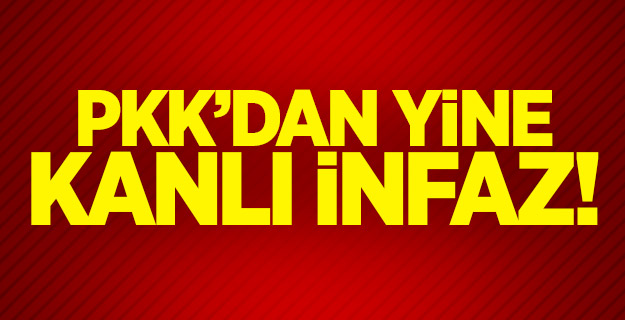 Diyarbakır'da baba ve oğlunu PKK'lılar öldürdü!