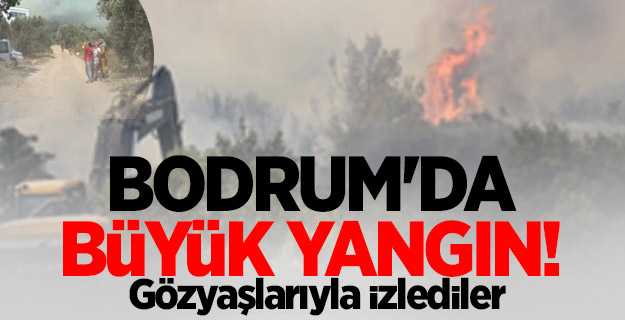 Bodrum'da büyük yangın! Gözyaşlarıyla izlediler