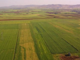 Yeni bakandan müthiş adım: Vatandaşa verilecek