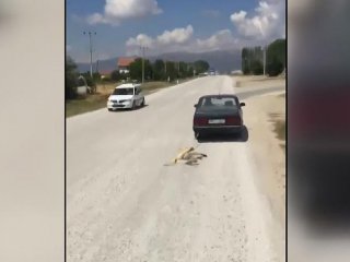 Köpeği otomobile bağlayarak sürükleyen kişi gözaltına alındı