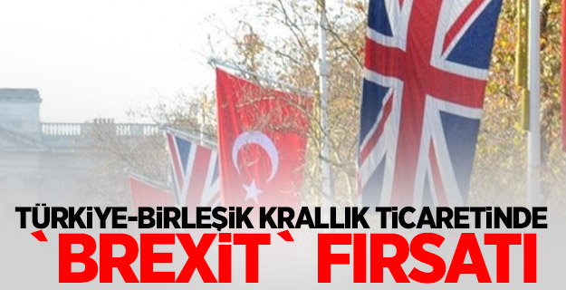 Türkiye-Birleşik Krallık ticaretinde `Brexit` fırsatı