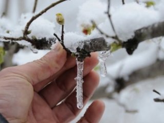 Meteoroloji'den don uyarısı!