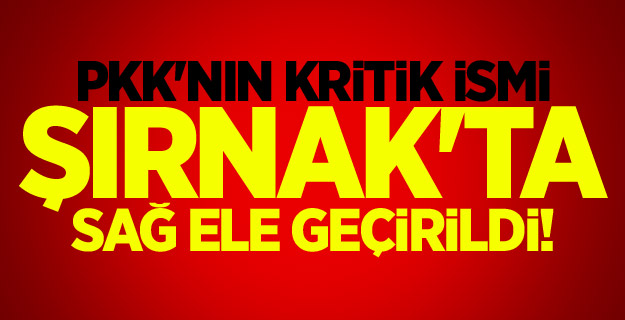 PKK'nın kritik ismi Şırnak'ta sağ ele geçirildi!