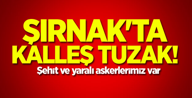 Şırnak'ta hain tuzak!