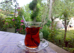 Kanserin düşmanı çay