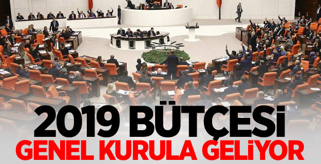 2019 bütçesi Genel Kurula geliyor