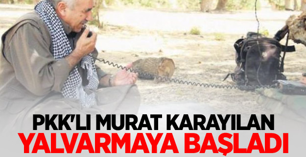 PKK'lı Murat Karayılan yalvarmaya başladı