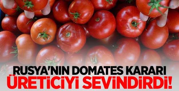 Rusya'nın domates kararı üreticiyi ve ihracatçıyı sevindirdi