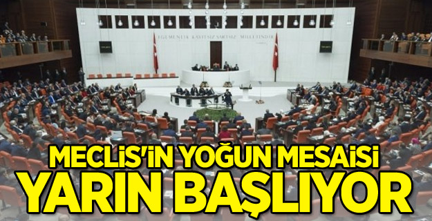 Meclis'in yoğun mesaisi yarın başlıyor