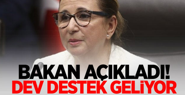 Bakan açıkladı! Dev destek geliyor...