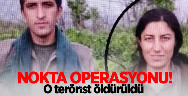 Nokta operasyonu! O terörist öldürüldü