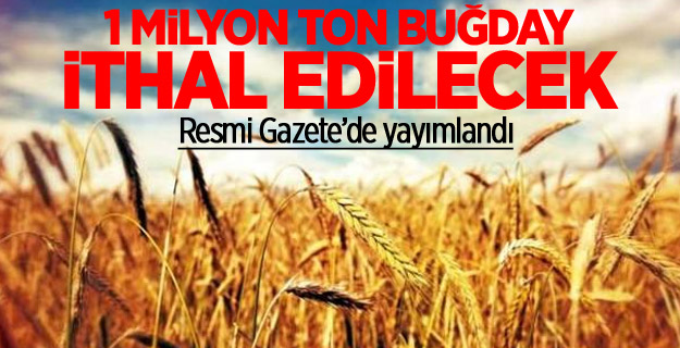 1 milyon ton buğday ithal edilecek