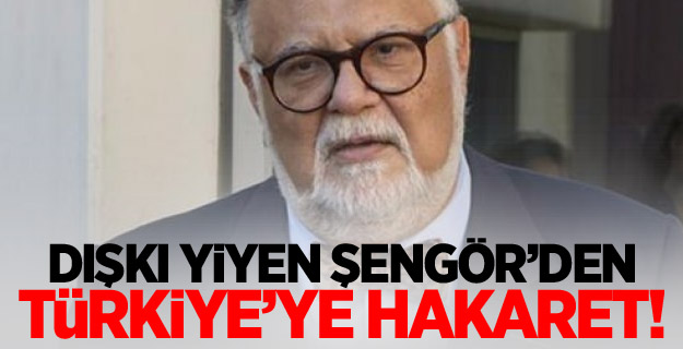 Celal Şengör'den Türkiye'ye hakaret!