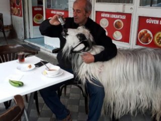 İstanbul'da fıkra gibi olay