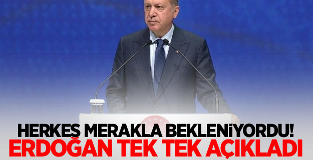 Herkes merakla bekleniyordu! Erdoğan tek tek açıkladı