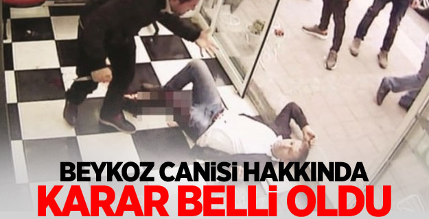 Beykoz canisi hakkında karar belli oldu