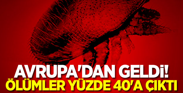 Avrupa'dan geldi! Ölümler yüzde 40'a çıktı