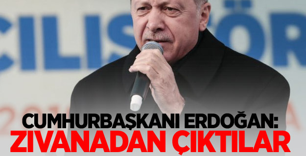 Cumhurbaşkanı Erdoğan: Zıvanadan çıktılar