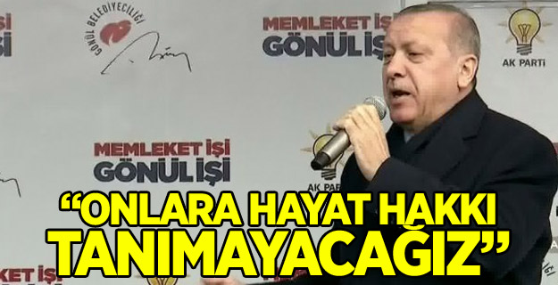 Cumhurbaşkanı Erdoğan: Hayat hakkı tanımayacağız