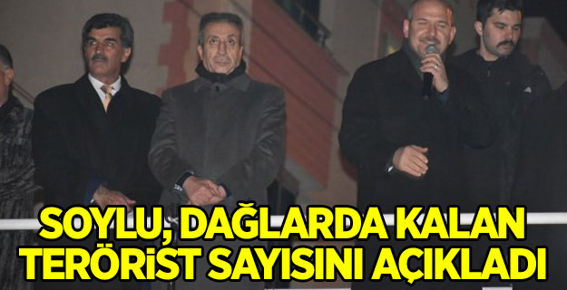 Soylu, dağlarda kalan terörist sayısını açıkladı