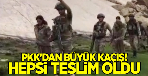 PKK'dan büyük kaçış! Hepsi teslim oldu
