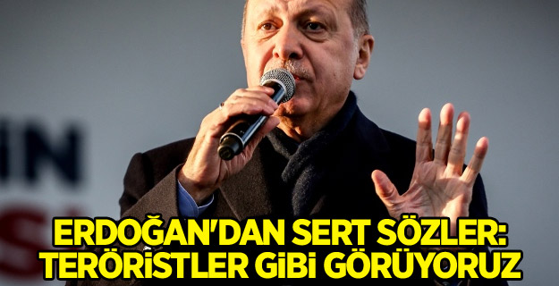 Erdoğan'dan sert sözler: Teröristler gibi görüyoruz