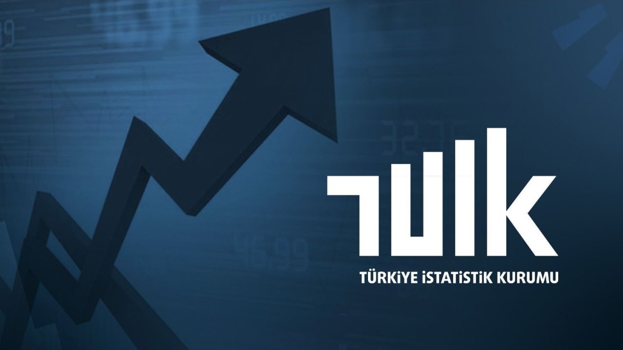 TÜİK Ağustos 2024 Dış Ticaret Verilerini Açıkladı: İhracat Arttı, İthalat Azaldı, Dış Ticaret Açığı Daraldı