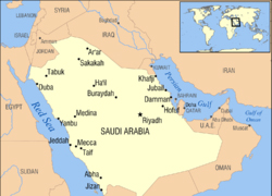 Suudi Arabistan, Türkiye'nin onurlu tutumunu övdü