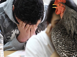 YGS'de Horoz Krizi