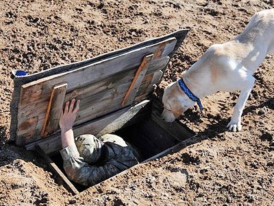 Eğitimli köpekler, dağda terörist barındırmayacak  