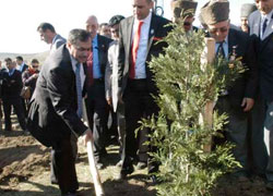 Bakan Eroğlu fidan dikti