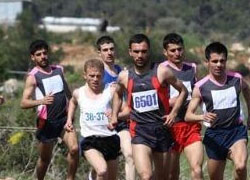 Türk sporculardan 3 altın, 4 gümüş ve 2 bronz madalya